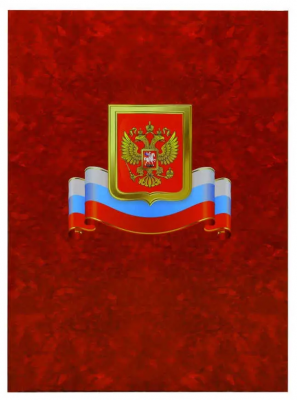 Папка адресная БЕЗ ТИСНЕНИЯ, ламин, (пухлая) КРАСНАЯ, Гроза с гербом и флагом, ляс