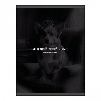 Тетрадь 40л кл Английский язык Black sepia, Эксмо (100)