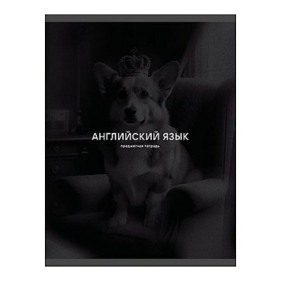 Тетрадь 40л кл Английский язык Black sepia, Эксмо (100)