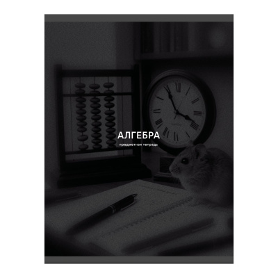 Тетрадь 40л кл Алгебра Black sepia, Эксмо