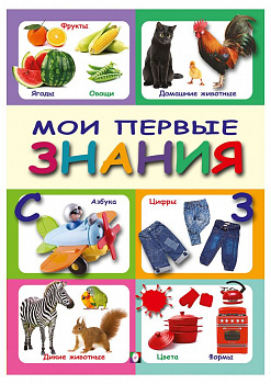 Мои первые знания.ПЗ