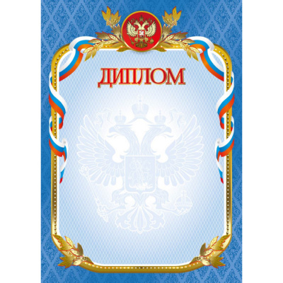 Диплом стандарт с госсимвол 375/2345/2470/2