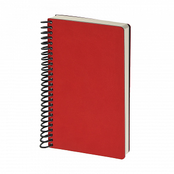 Ежедневник А5 на спирали AGENDA