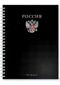 Тетрадь 96л кл. (ГРЕБЕНЬ) Апплика лам.Российс.символика (40)
