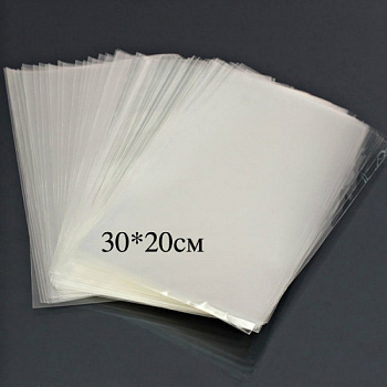 Пакет ПРОЗРАЧНЫЙ 20*30см