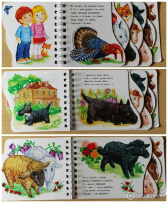 Книги с окошками.Цифры, Цвета и Формы